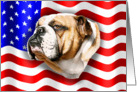Bulldog Dog Patriot US Flag card