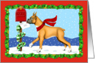 Boxer Dog Christmas Holiday Mail card