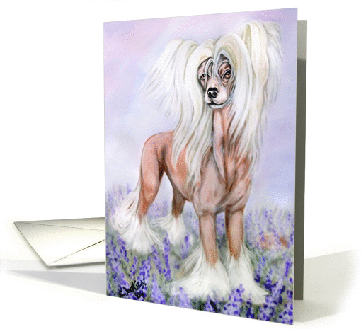 Chinese Crested Hairless Dog in the Blue Bonnets card (270349)