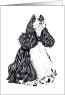Cocker Spaniel Dog BW Parti card
