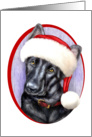 Black German Shepherd Dog Puppy Santa card