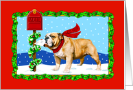 Bulldog Christmas Holiday Mail card