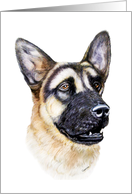 German Shepherd Dog Art Head Study card