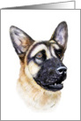 German Shepherd Dog Art Head Study card