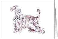 Afghan Hound Dog Art Elegance card