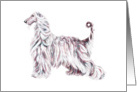 Afghan Hound Dog Art Elegance card