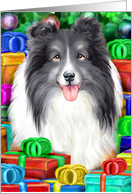 Bi Black Sheltie Dog Christmas Open Gifts NOW card