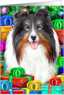 Tri Color Sheltie Dog Christmas Open Gifts NOW card