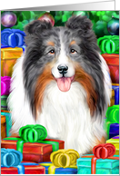 Blue Merle Sheltie Dog Christmas Open Gifts NOW card