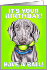 Weimaraner Dog Birthday Balls card