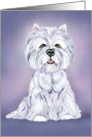 West Highland White Terrier Sitting Pretty card