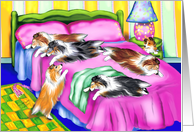Shetland Sheepdog Pink Comfort Shelties card