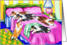 Shetland Sheepdog Pink Comfort Shelties card