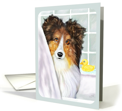 Shetland Sheepdog Sable Sheltie Bath card (50775)