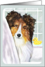 Shetland Sheepdog Sable Sheltie Bath card