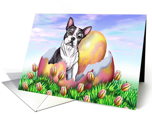 Boston Terrier Dog Easter card (50799)