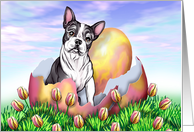 Boston Terrier Dog Easter card