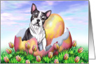 Boston Terrier Dog Easter card