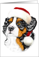 Bernese Mountain Dog Christmas Santa Pup card