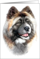 Akita Dog Art Bust Head Study card