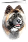 Akita Dog Art Bust Head Study card