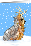 Yorkshire Terrier Dog Christmas Yorkie Deer card