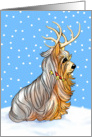 Yorkshire Terrier Dog Christmas Yorkie Deer card