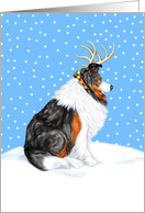 Collie Tri Dog Christmas Collie Deer card