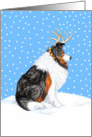 Collie Tri Dog Christmas Collie Deer card