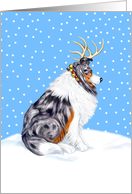 Collie Blue Merle Dog Christmas Collie Deer card