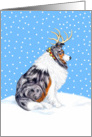 Collie Blue Merle Dog Christmas Collie Deer card