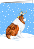 Collie Sable Dog Christmas Collie Deer card