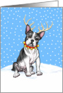 Boston Terrier Dog Christmas Boston Deer card