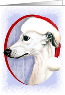 Whippet Christmas White in Santa Hat card