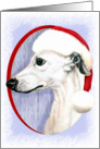 Whippet Christmas White in Santa Hat card