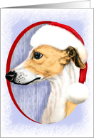 Whippet Christmas Tan & White in Santa Hat card