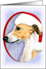 Whippet Christmas Tan & White in Santa Hat card