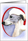 Whippet Christmas Blue & White in Santa Hat card