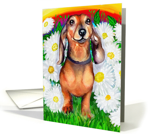 Dachshund Dog Art Doxie Daisy Patch card (51008)