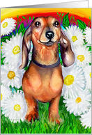 Dachshund Dog Art Doxie Daisy Patch card