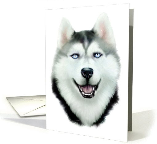 Siberian Husky Dog Art Head Study Bust card (51062)