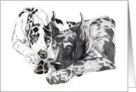 Great Dane Dog Art Inseperable card