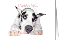 Great Dane Dog Art Need a Hug card