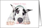 Great Dane Dog Art Need a Hug card