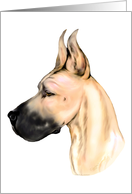 Great Dane Dog Art Fawn Fem Head Study Bust card