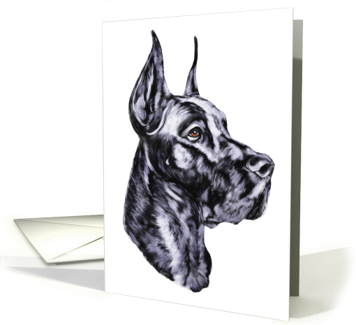 Great Dane Dog Art Black Head Study Bust card (51092)