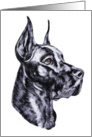 Great Dane Dog Art Black Head Study Bust card