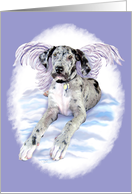 Great Dane Dog Art Merle Angel card