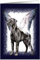 Great Dane Dog Black UC Angel card