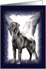 Great Dane Dog Black UC Angel card